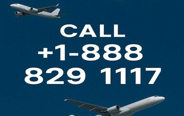 121 Ways to Contact How can i speak to someone at Air Europa: The Complete Guide