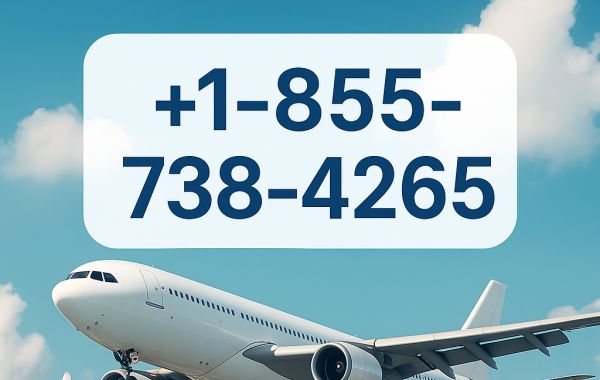10 Ways to Contact How do I speak to someone at ITA Airways Step-by-Step Guide