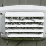 Berwyn Dryer Vent Cleaning Profile Picture