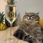 arter vamo Profile Picture