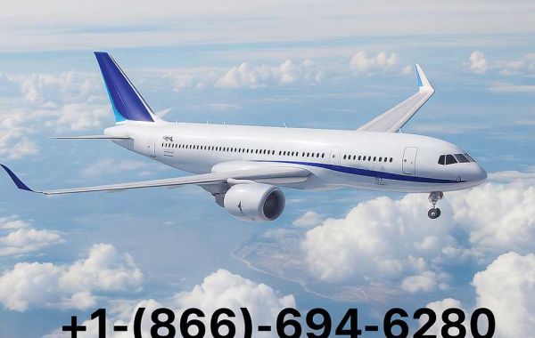 13 Smart Ways to Talk to a Live Person at United Airlines – Fast Help Guide