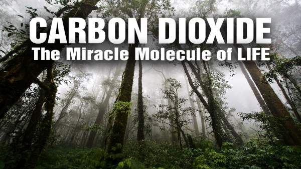 Global greening surges 38%, but media silence reinforces “climate crisis” narrative - Conservative News & Right Wing News | Gun Laws & Rights News Site
