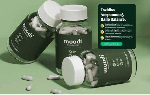 Moodi CBD Capsules France and Gen Z’s Wellness Choices