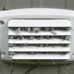 Bayonne Dryer Vent Cleaning Profile Picture