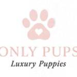 only puppys Profile Picture