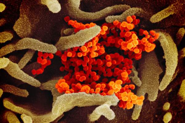 EU Officials Say New COVID Variant Is Expected to Rise Across Continent | The Epoch Times