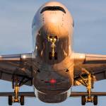 sreniwala wala Profile Picture