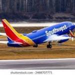 jimmy will Profile Picture