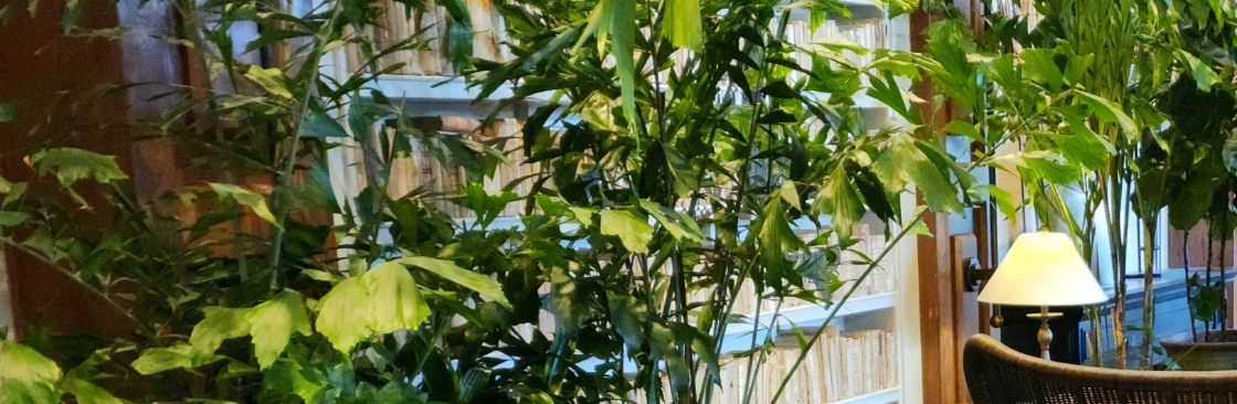 Liz Chelak Cover Image