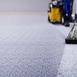 San Diego Carpet Cleaning Profile Picture