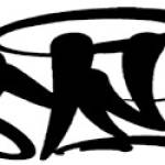 syna world Profile Picture