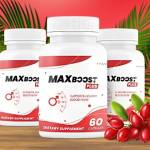 somya sharma Profile Picture