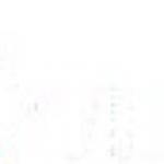 11x winner Profile Picture