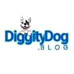 Diggity dog Profile Picture