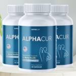 befellopae befellopae Profile Picture