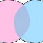 Chat Nederlands Profile Picture