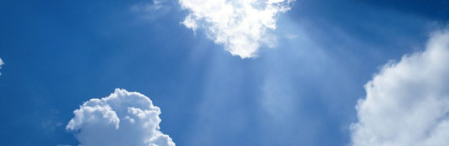 Vicki C. Cover Image