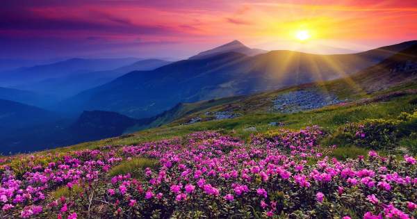 Jesus: Creator, Savior, Lord and King #45  Jesus the Light of the World j-  John 7-9