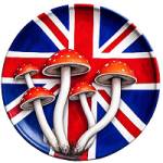 Order Magic Mushrooms Profile Picture