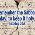 John Packer profile picture