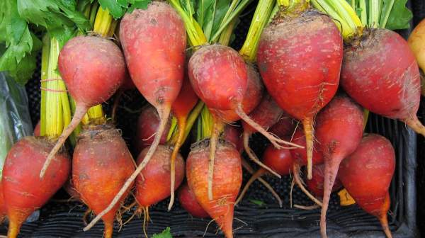 Seven Red Foods Linked to Cardiovascular Benefits, According to Plant-Based Nutrition Report