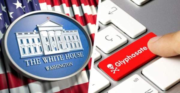 MAHA Betrayal: Trump Directs USDA to Make More Glyphosate, Signals Liability Protection for Pesticide Makers » Sons of Liberty Media