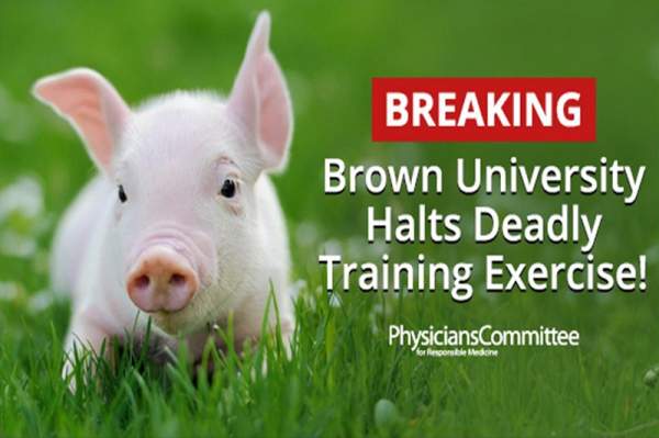 Brown University Halts Deadly Training Exercise - Word Matters!