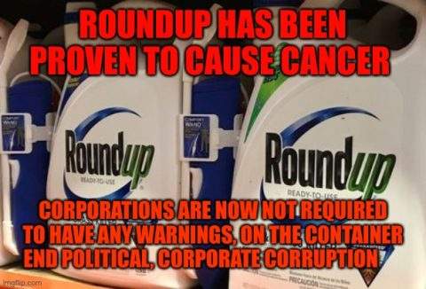 World News:Stephanie Seneff PhD Interview – Glyphosate & The Engineered Sick Care System - Conservative News & Right Wing News | Gun Laws & Rights News Site
