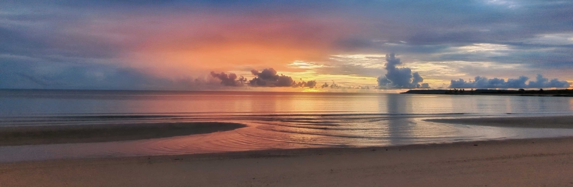 David Anderson Cover Image