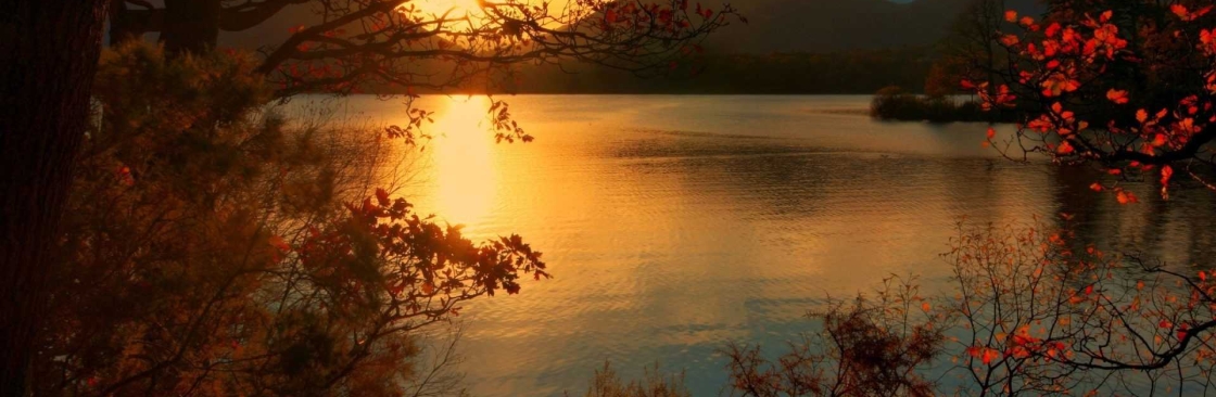 David Anderson Cover Image