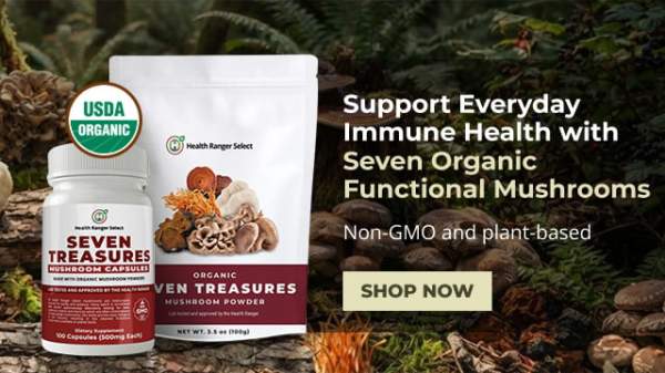 Discover the power of seven premium organic functional mushrooms!