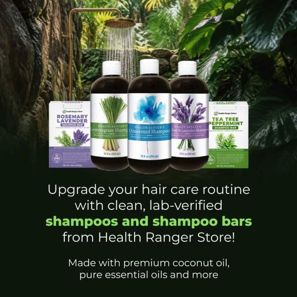Upgrade Your Hair Care Routine with Clean, Lab-Verified Shampoos and Shampoo Bars